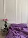 Фіолетовий ST0006-1 фото 2